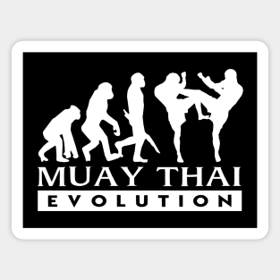 Muay Thai Evolution Magnet